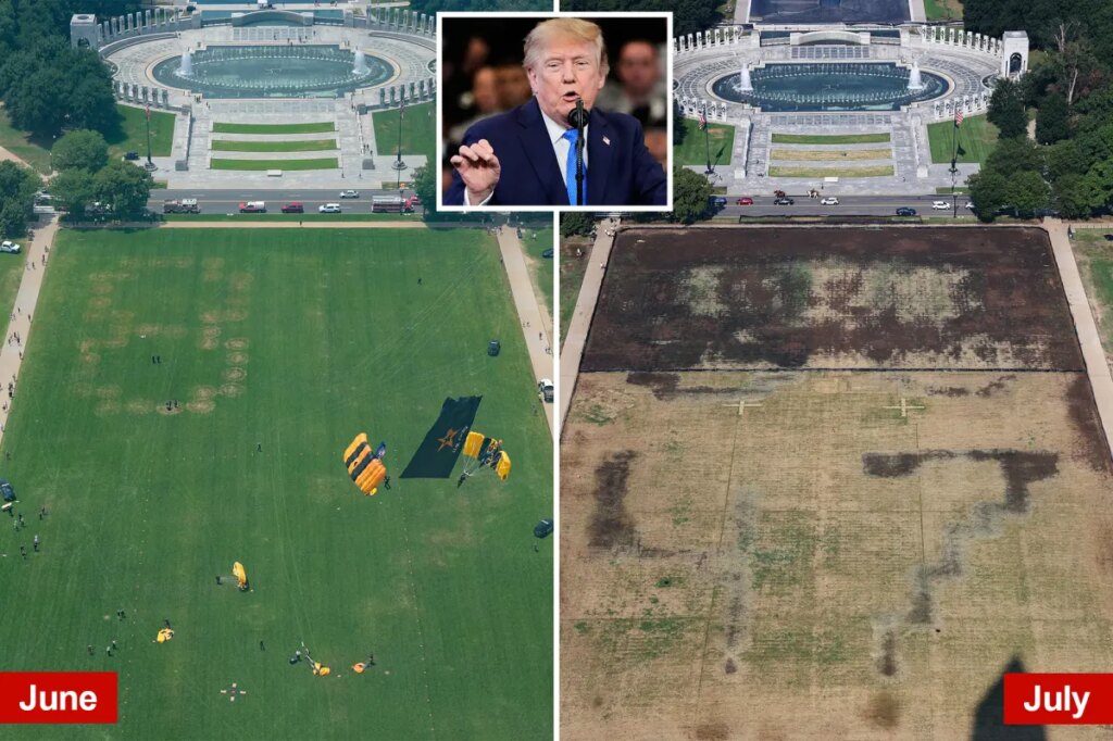 Trump blames vandals for dead grass on National Mall where he hosted 4th of July celebration