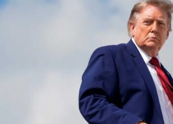 Trump’s ‘racism’ dog whistle meets backlash: ‘Felon married to a former nude model’