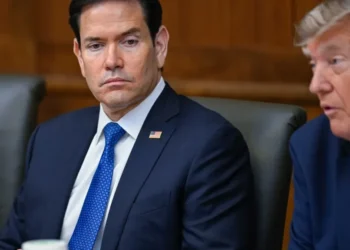 ‘Do not be fooled’: ex-GOP strategist calls out Marco Rubio’s bluff to JD Vance