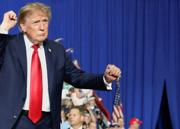 CNN anchor baffled by Trump’s bizarre gaffe: ‘What is he talking about?’