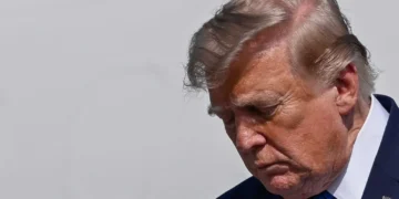 Trump’s ‘incredible cognitive dissonance’​ leaves CNN anchor in disbelief