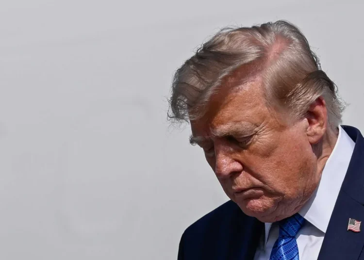 Trump’s ‘incredible cognitive dissonance’​ leaves CNN anchor in disbelief