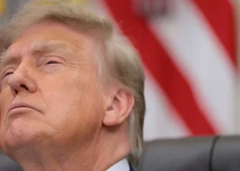 ‘This is so wrong’: Trump’s ‘astoundingly stupid’ claim leaves jaws on the floor
