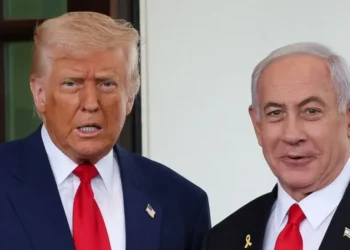 ‘Another humiliation’: Conservative in awe as right-wing ally ‘spits in Trump’s face’