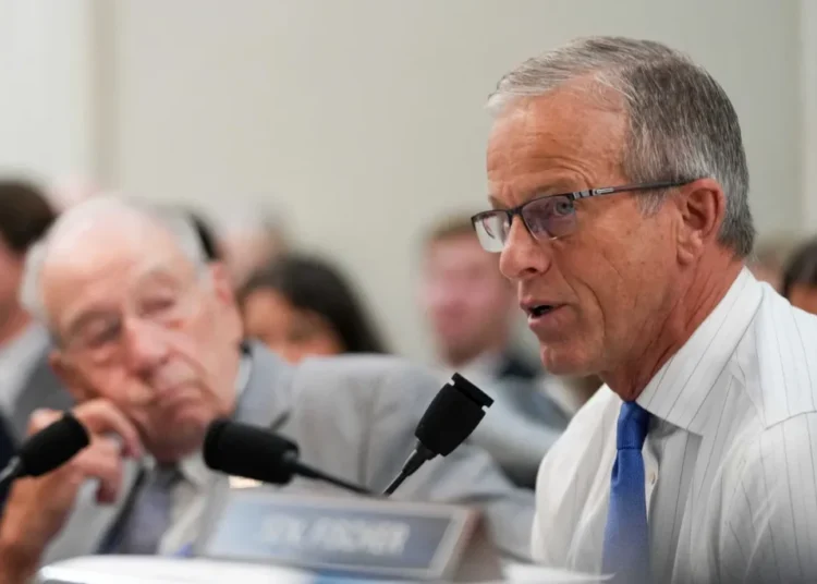 John Thune ducks questions about whether McConnell’s absence has ruined everything