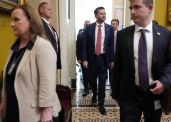 Critics ridicule Vance after Trump gives him another public trashing: ‘Not that into you’