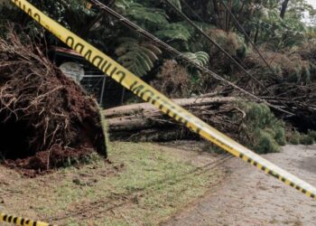 Heavy rain and winds to hit Hawaii less than a week after damage from Hurricane Lala