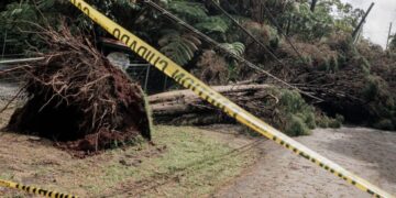 Heavy rain and winds to hit Hawaii less than a week after damage from Hurricane Lala
