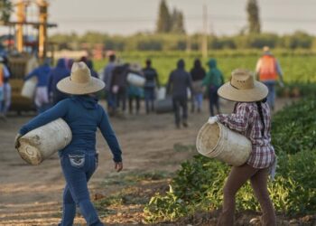 California counties monitoring for measles in farmworkers from Arizona