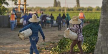 California counties monitoring for measles in farmworkers from Arizona