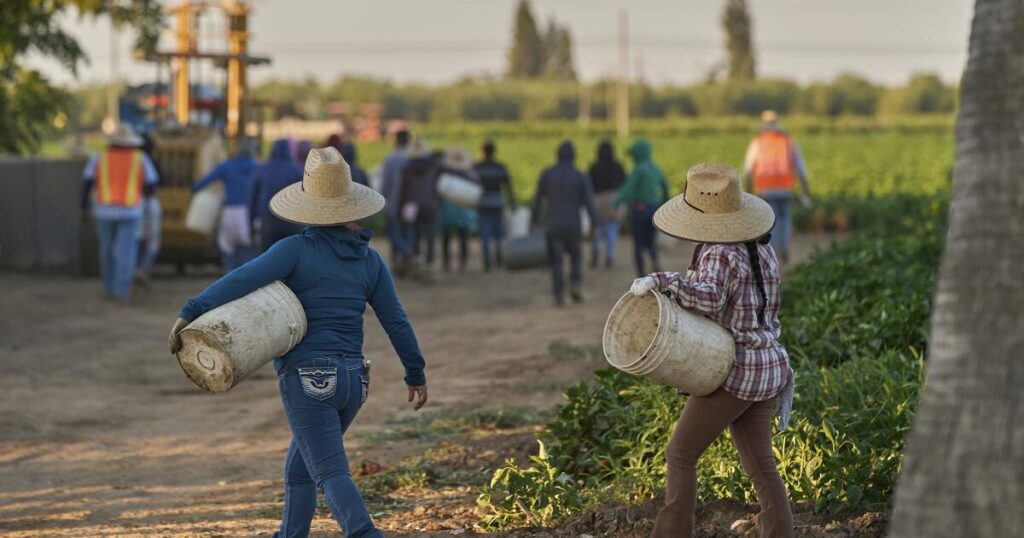 California counties monitoring for measles in farmworkers from Arizona