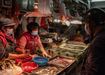Forget about COVID-19’s origins. Focus on preventing the next pandemic