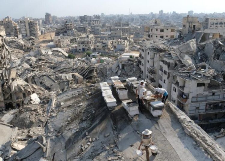Netanyahu rejects U.S. Gaza peace plan; Houthis strike Saudi oil facility and Yemeni port
