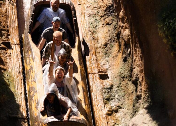 Disneyland warns not to stand up on its log-flume ride or risk getting booted from the park