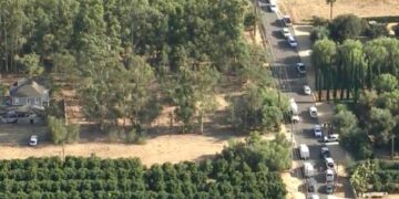 Man shot and killed by deputies after firing at Edison employees, authorities say