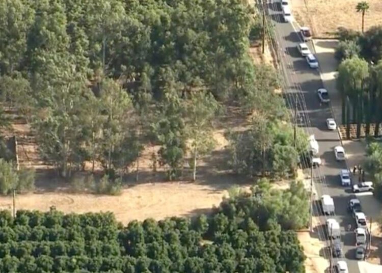 Man shot and killed by deputies after firing at Edison employees, authorities say