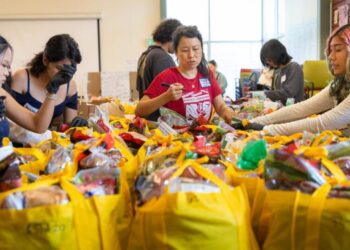 Chinatown elders need groceries. These teens go door-to-door delivering them