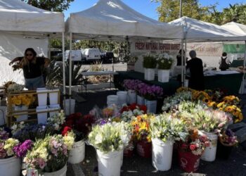 Turf drama sends celeb favorite Malibu Farmers Market packing to City Hall parking lot
