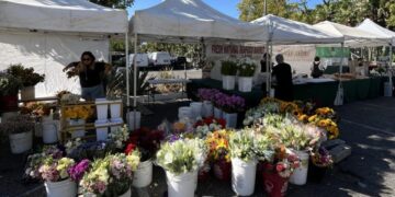 Turf drama sends celeb favorite Malibu Farmers Market packing to City Hall parking lot