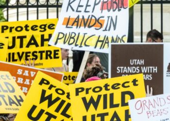 Politicians defy the people when they take away protections from public lands
