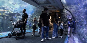 Long Beach aquarium takes in at least 500 animals rescued from wildlife traffickers