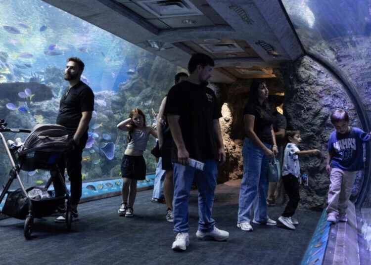 Long Beach aquarium takes in at least 500 animals rescued from wildlife traffickers