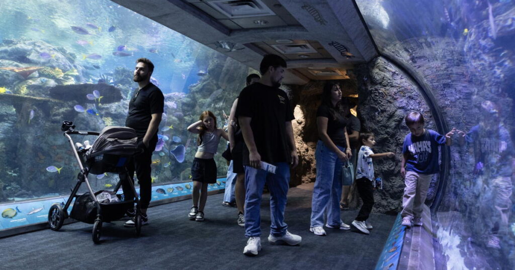 Long Beach aquarium takes in at least 500 animals rescued from wildlife traffickers