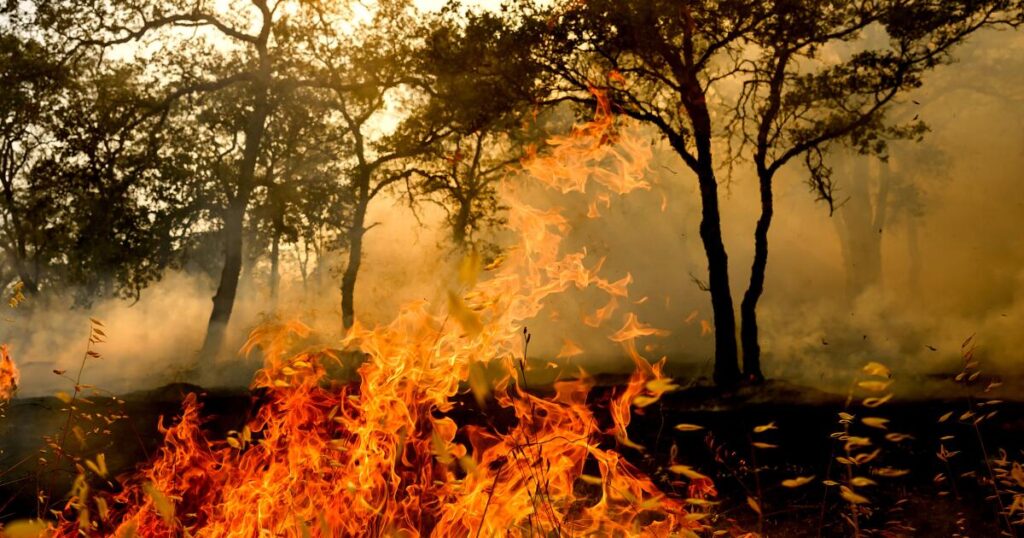 Man arrested in Gann fire says he was was trying to make money for a birthday dinner