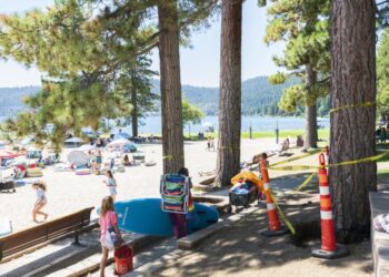 A Lake Tahoe murder mystery: Who is poisoning towering pine trees?