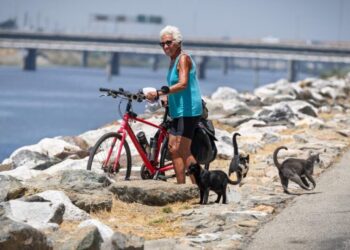 The eight-mile gap in the L.A. River bike path downtown has a billion-dollar problem