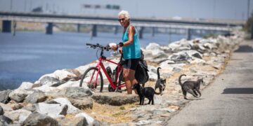 The eight-mile gap in the L.A. River bike path downtown has a billion-dollar problem