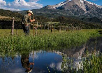 Big oil and gas companies are partly responsible for California’s water woes, study finds