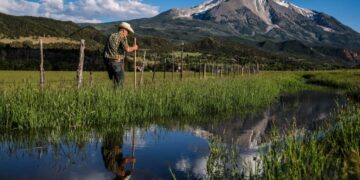 Big oil and gas companies are partly responsible for California’s water woes, study finds