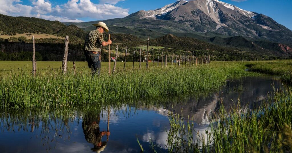 Big oil and gas companies are partly responsible for California’s water woes, study finds