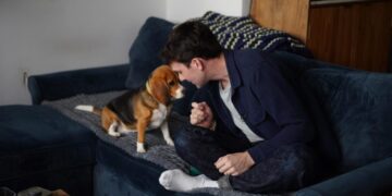 Gene-edited beagles may offer a future option for people with dog allergies