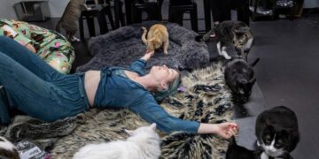 Sleepover party with 39 cats? You read that right