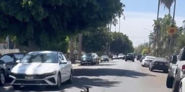 ‘Catch that pig. Be a hero.’ A pursuit in West Hollywood goes viral