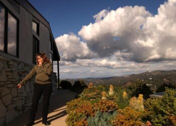 State approves ‘Zone Zero’ fire-safe landscaping rules, reshaping yards for millions of Californians
