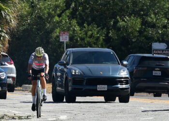 Bass hit brakes on new bike lanes near Forest Lawn. Raman is now slamming her for it