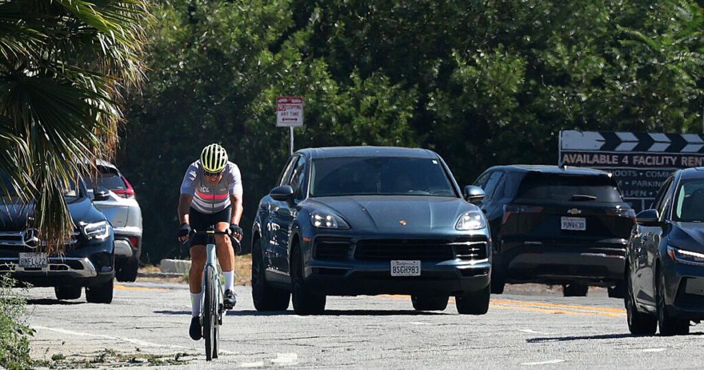 Bass hit brakes on new bike lanes near Forest Lawn. Raman is now slamming her for it