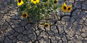As Colorado River reservoirs shrink, Arizona warns of a legal fight