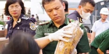 Authorities in Vietnam discover more than a ton of concealed ivory illegally shipped from Africa
