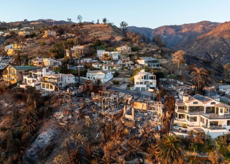 As L.A. burned, online gamblers bet on how much the fires would destroy. ‘That was fun’