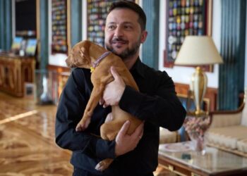 Ukraine’s president coos over a puppy, starting a new volley in his war of visuals against Russia