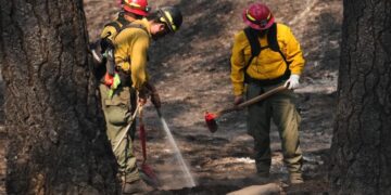 Officials warn wildland firefighters about the risks of using a supplement for smoke exposure