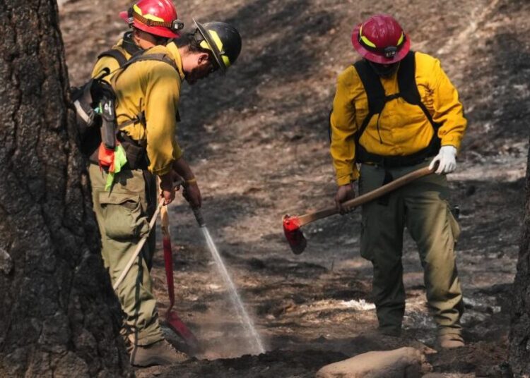 Officials warn wildland firefighters about the risks of using a supplement for smoke exposure