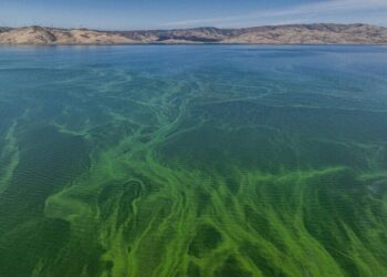Tons of planet-warming gases are bubbling up from reservoirs. California is going to keep track