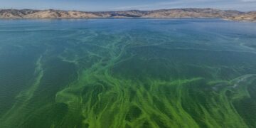 Tons of planet-warming gases are bubbling up from reservoirs. California is going to keep track