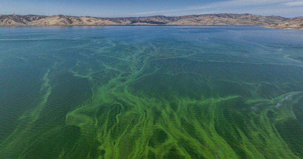 Tons of planet-warming gases are bubbling up from reservoirs. California is going to keep track