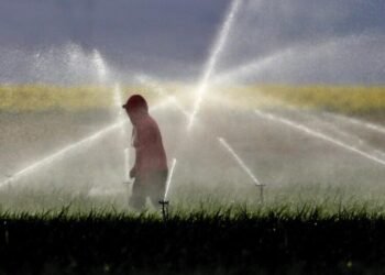 California to phase out paraquat, a powerful weedkiller associated with serious health issues